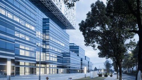 网红高科技建筑公司,网红高科技建筑公司的创新奇迹之旅